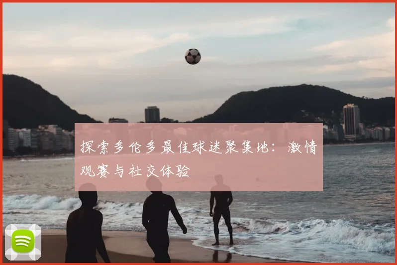 探索多伦多最佳球迷聚集地:激情观赛与社交体验