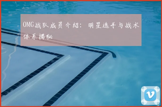 OMG战队成员介绍：明星选手与战术体系揭秘