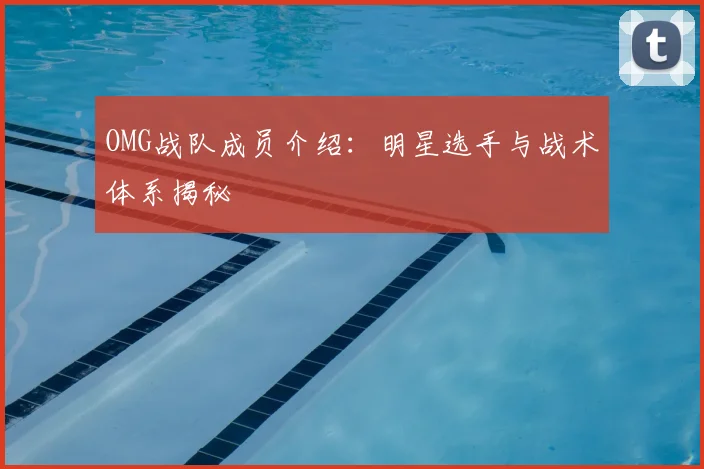 OMG战队成员介绍：明星选手与战术体系揭秘